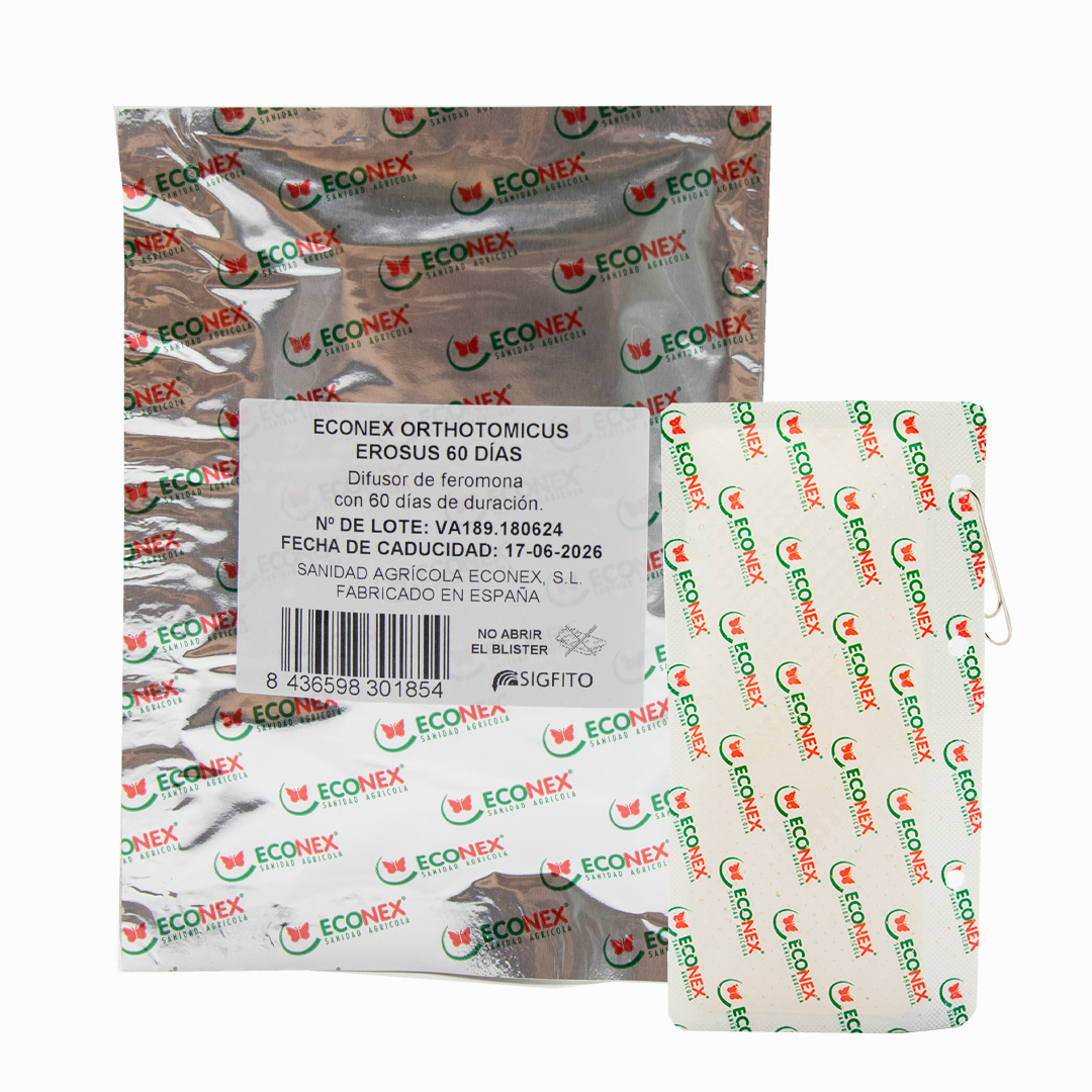 ECONEX ORTHOTOMICUS EROSUS 60 JOURS