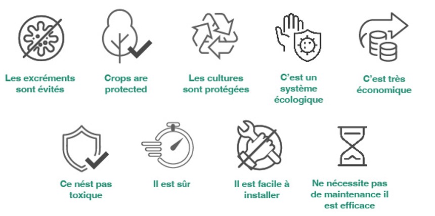 Infografía áreas verdes